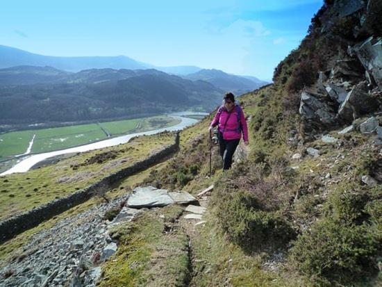 Torrent Walk Glamping Huts In The Heart Of Snowdonia Campsite